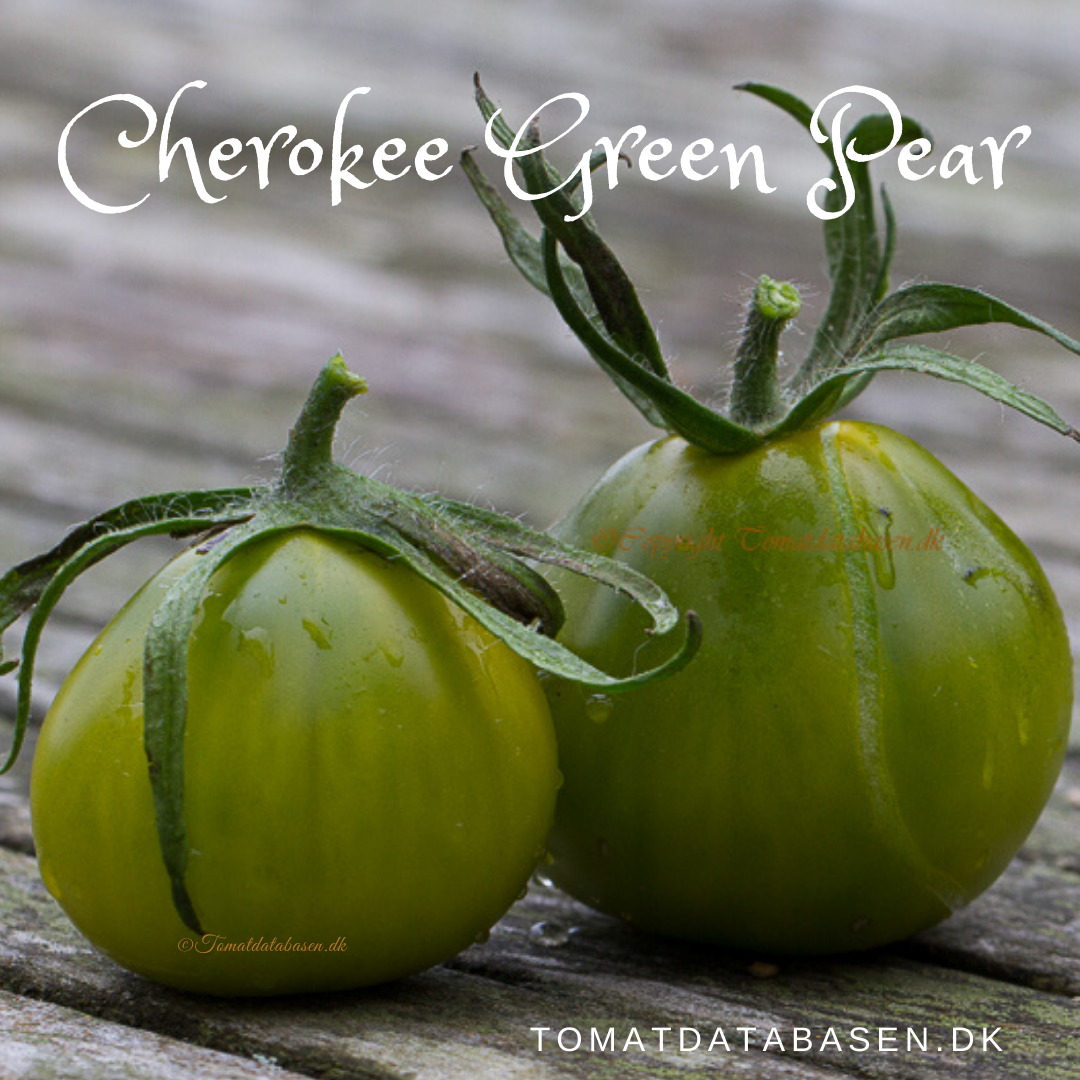 Cherokee Green Pear